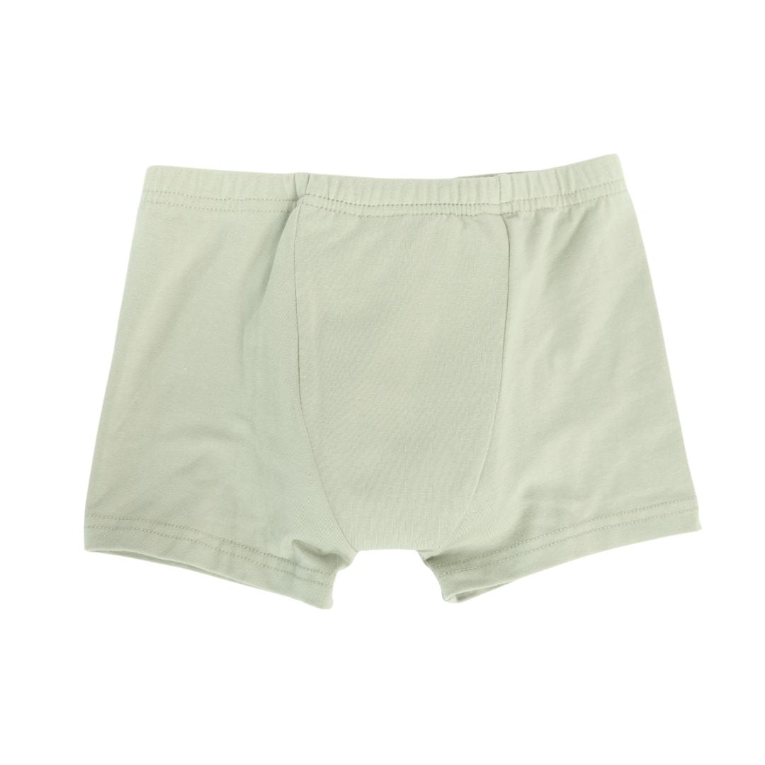 reusable shorts-style training pants for day or night