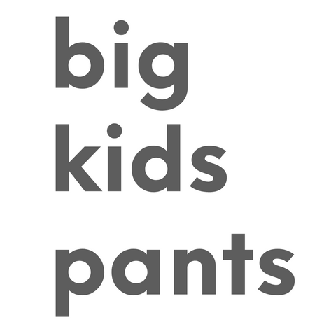 Reusable NZ cloth toilet training pants that kids love to wear!